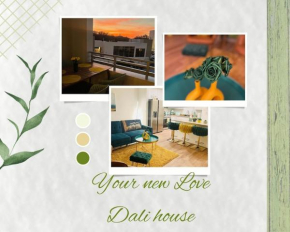 Luxury Dali House in downtown!